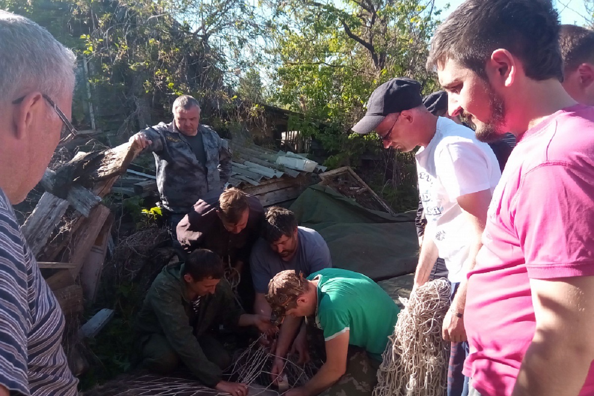В Тверской области лося ловили сеткой с футбольных ворот