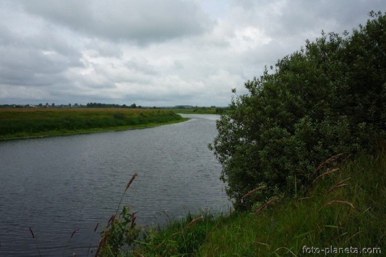 В Тверской области дело о загрязнении сточными водами реки Мологи направлено в суд