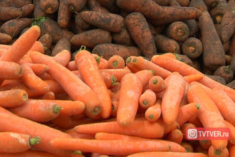 В Тверской области подорожали рыба и морковь
