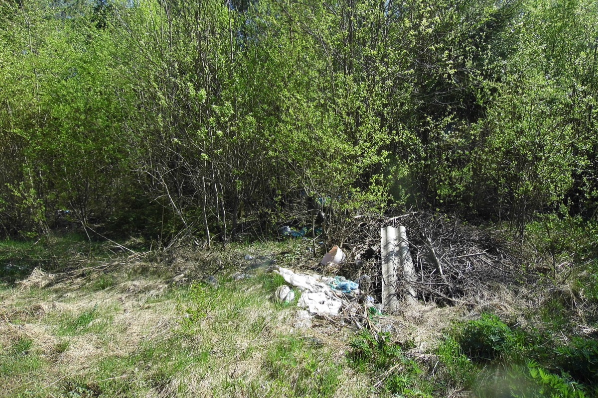 На землях сельхозназначения в Тверской области появились свалки и дорога