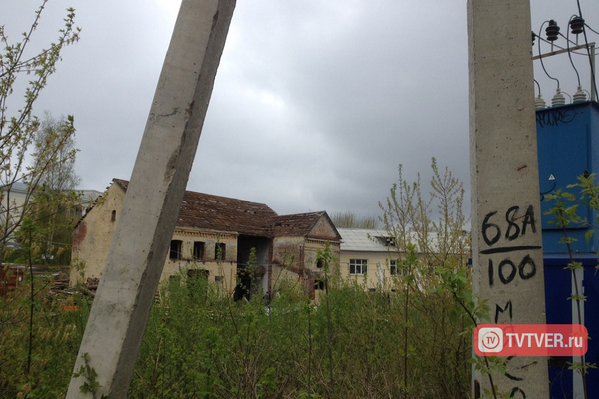 В Торжке для спасения птиц демонтировали крышу здания