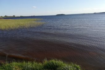 В Тверской области девочка-подросток утонула, спасая из воды свою подругу В Тверской области девочка-подросток утонула, спасая из воды свою подругу