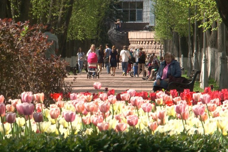 Сезонная аллергия – напасть да и только 