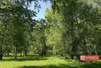 В лесах Тверской области ожидается чрезвычайная пожарная опасность