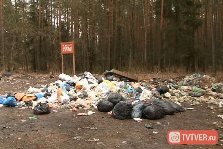 Росприроднадзор ищет в Тверской области московские мусоровозы