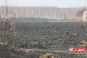 В Тверской области горящую траву и мусор нашли через космос