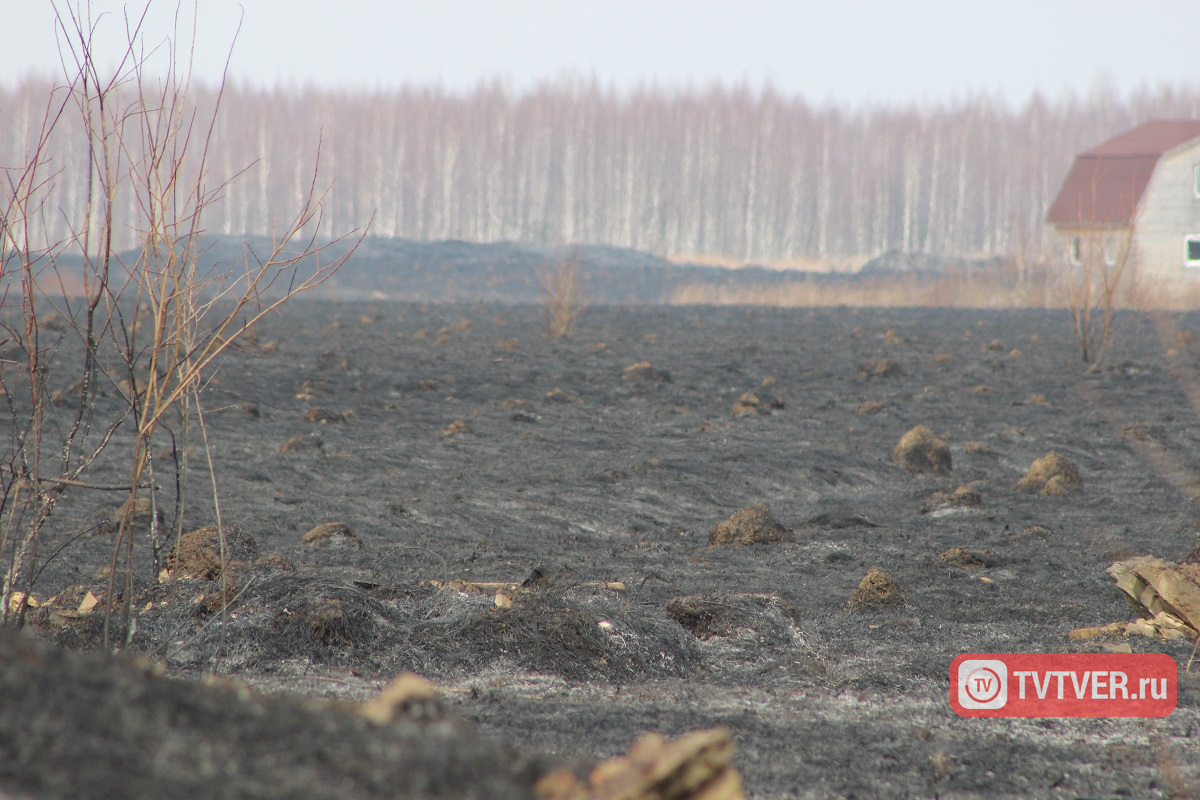 В Тверской области пытаются предотвратить палы сухой травы и лесные пожары