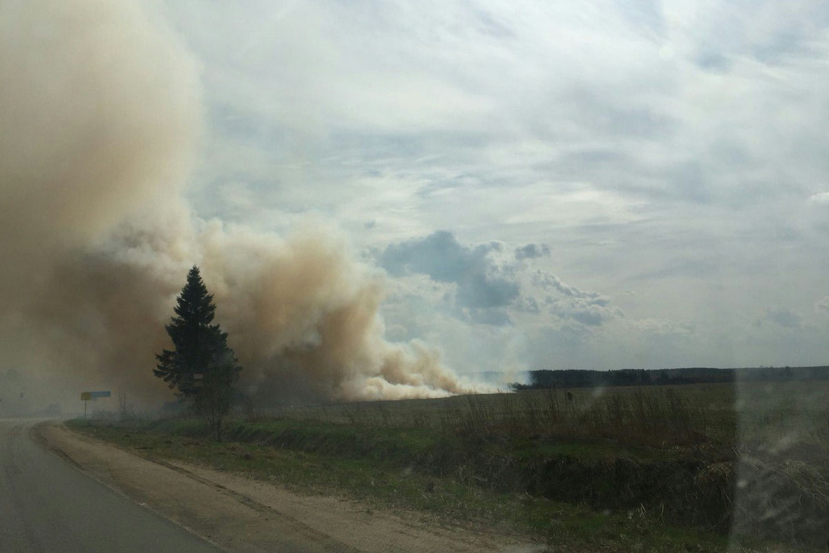 Лесной пожар произошел в Тверской области