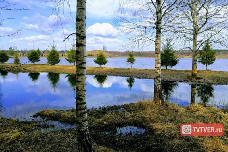 Прошлой ночью в Тверской области температура воздуха опустилась ниже нуля