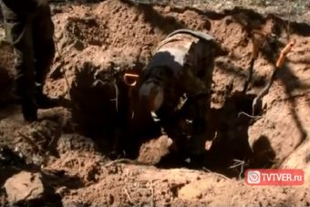 В Тверской области поисковики нашли останки уральского солдата