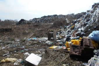 В Конаково Тверской области свалка «захватила» три гектара сельхозугодий