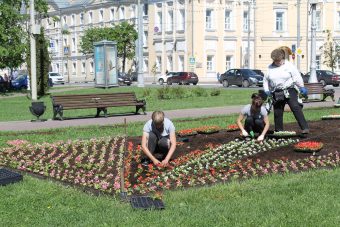 В Твери высадят цветы на площади более 3,5 тысяч квадратных метров