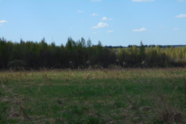 В Тверской области 50 га сельхозугодий заросли травой