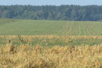 В Тверской области обсудили итоги посевной кампании