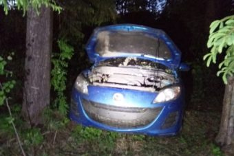 В Тверской области в лесу нашли «Мазду» В Тверской области в лесу нашли «Мазду»