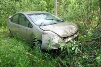 В Селижаровском районе японская иномарка врезалась в лося