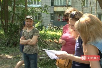 Власти Твери разрешили срубить 161 дерево ради магазина