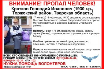 В Торжокском районе Тверской области разыскивают пропавшего пенсионера