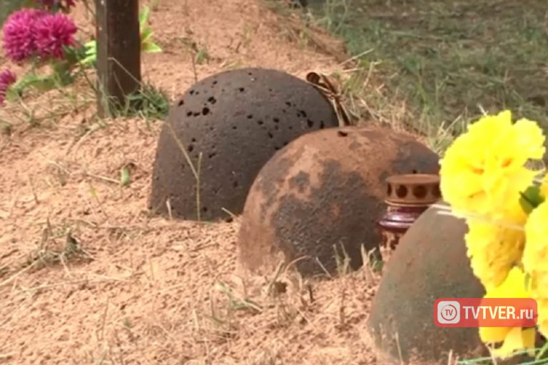В Тверской области захоронили останки более 1,5 тысяч бойцов, найденных поисковиками