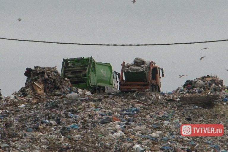 Подробности мусорного скандала в Твери. Почему подрядчики отказываются продолжать работу