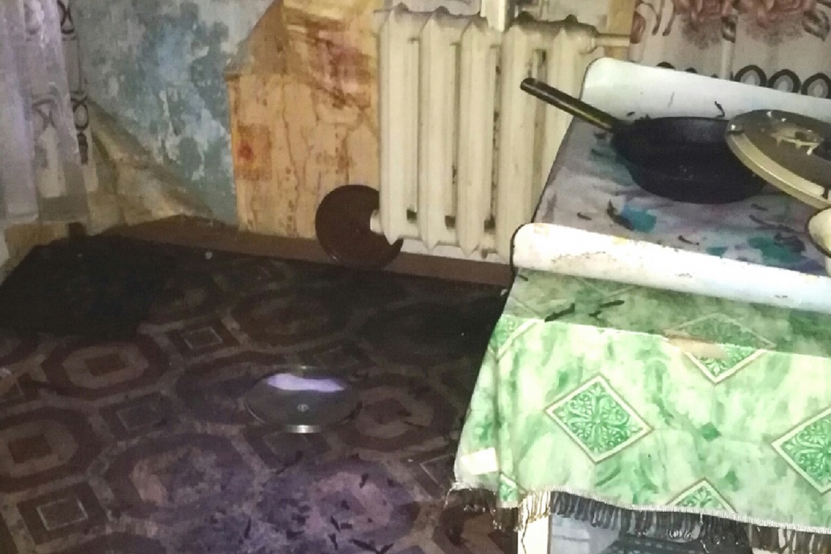 Три человека погибли на пожаре в Тверской области