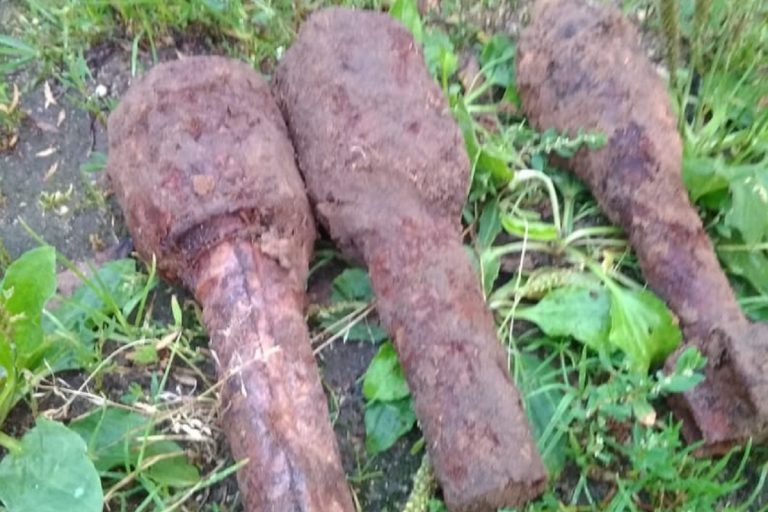Две гранаты и снаряд времен Великой Отечественной войны нашли в Ржеве