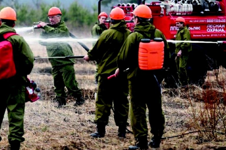 Лучший лесной пожарный Тверской области подтвердил свое звание
