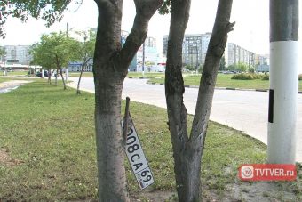 В Твери нет денег на приведение в порядок ливневой канализации