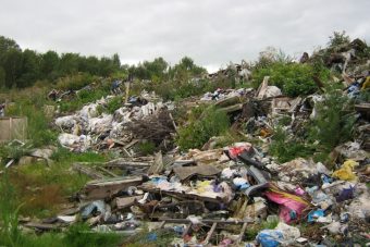 За ущерб сельхозземлям на 7 млн нарушитель в Тверской области заплатит 40 тысяч