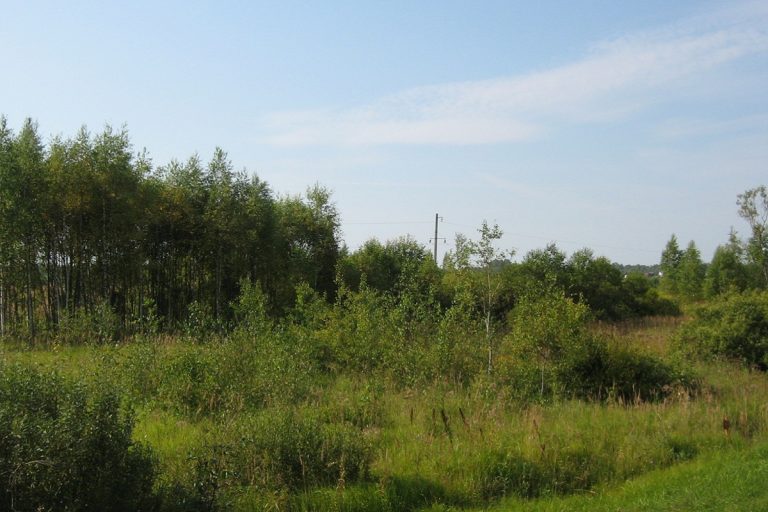 Владельцу 90 га земли в Тверской области придется заплатить 220 тысяч за кусты и сорняки
