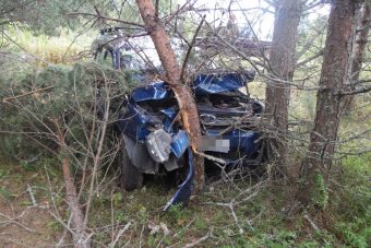В Тверской области автомобиль вылетел в кювет и врезался в дерево