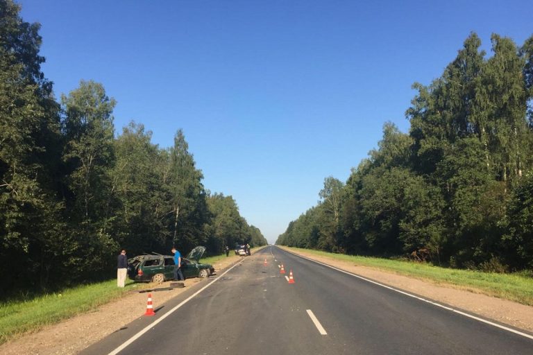 Аварию в Нелидовском районе с погибшими устроил водитель без прав