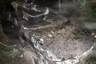 Пенсионеры на ВАЗе угодили в кювет после столкновения с лосем