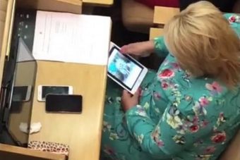 Депутат Госдумы обсуждению пенсионной реформы предпочла котиков в соцсетях