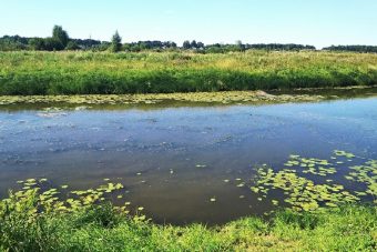 В Бежецком районе поток фекалий течёт в сторону водозабора
