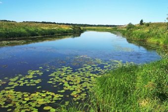 В Бежецком районе поток фекалий течёт в сторону водозабора