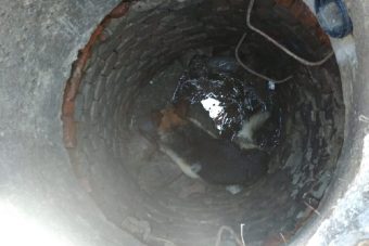 В Ржеве сотрудники поисково-спасательного отряда спасли собаку из колодца