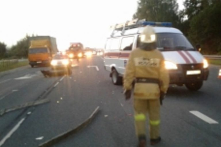 Страшная ночь на М-9: в Тверской области произошли две аварии с погибшими