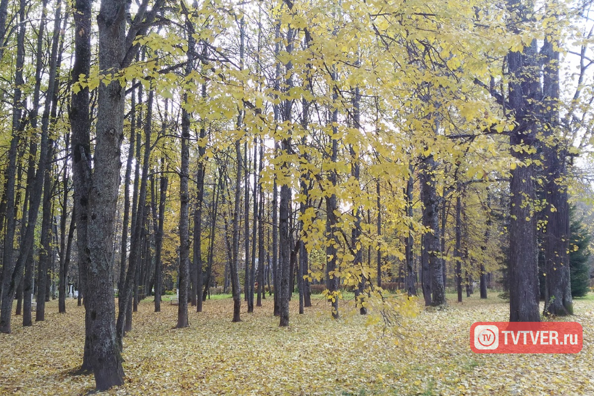 5 сентября - Луп Брусничник. Что можно и что нельзя делать в этот день