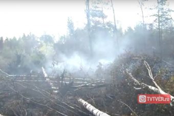 В Тверской области отмечается высокая пожарная опасность