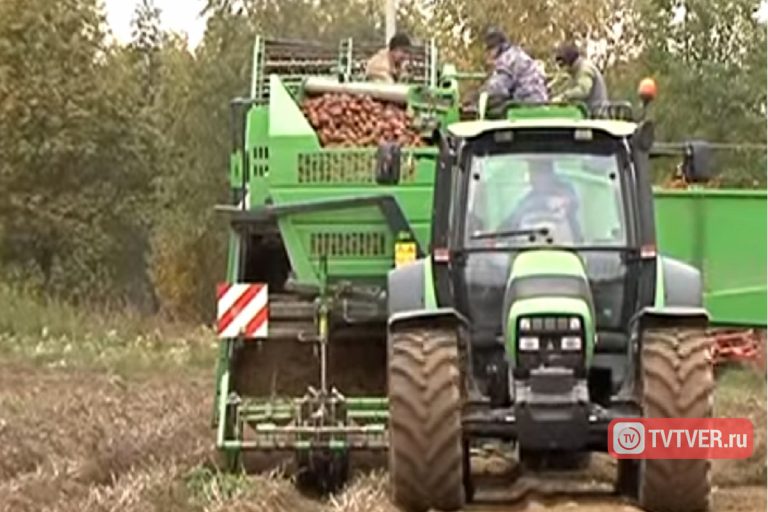 Филиал «Росгостраха» в Тверской области оштрафован из-за тракторов