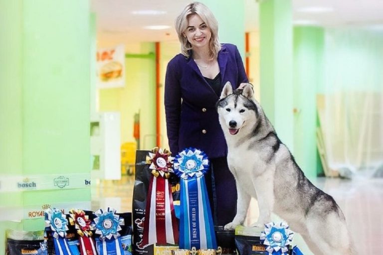 «Собаки лают, караван идёт»: хендлер из Твери, погубившая двух хаски, впервые рассказала, как у неё дела