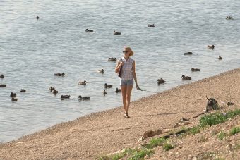 Лето загостилось в Тверской области