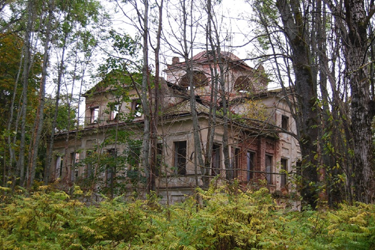 Особняк старица. Заброшенная Тверская усадьба усадьба. Усадьба в Нелидово Тверской области. Усадьбы Тверской области Дубровка. Усадьба Городище Тверская область.