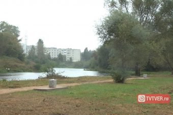 Опять на зиму глядя. В Твери готовятся к реконструкции Аллеи Славы в Мамулино