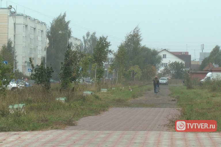 Опять на зиму глядя. В Твери готовятся к реконструкции Аллеи Славы в Мамулино