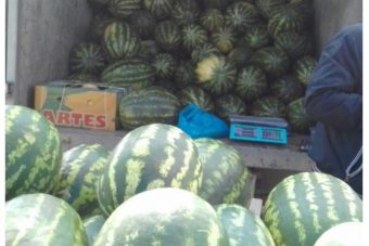 В Твери торговали продукцией, похожей на арбузы
