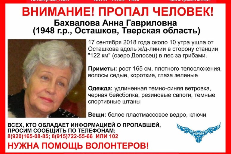Волонтеры ищут пожилую женщину в лесах Тверской области