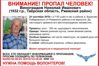 В лесу Тверской области пропал 86-летний пенсионер с собакой