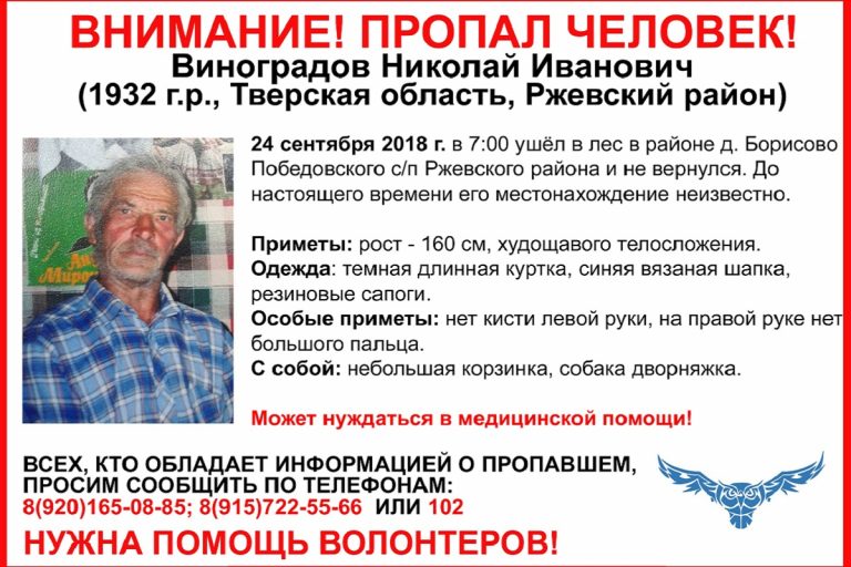 В лесу Тверской области пропал 86-летний пенсионер с собакой